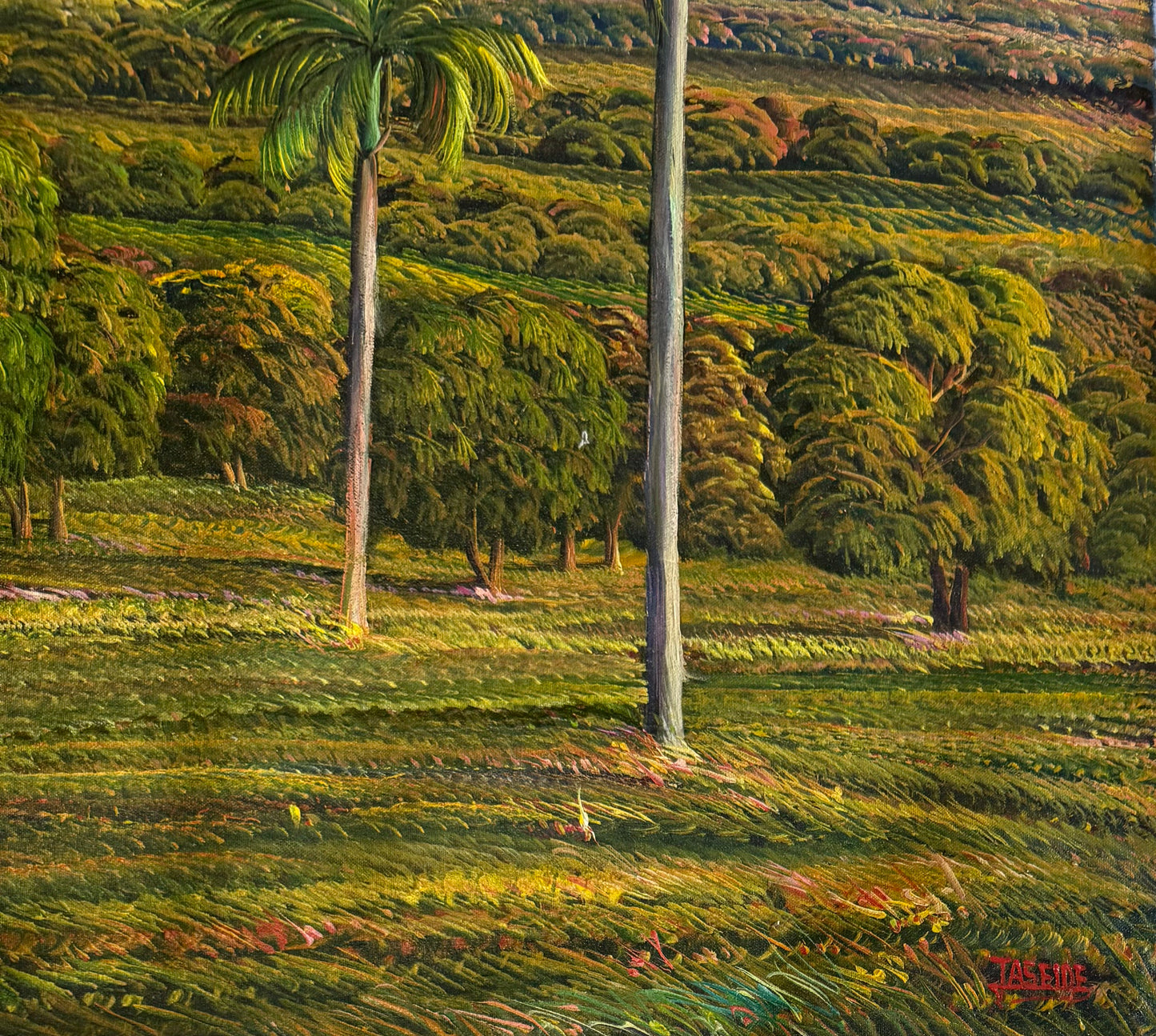Jean Adrien Seide 40"x60 » Vallée avec montagnes, lac, cocotiers 2022 Acrylique sur toile peinture #6A-MFN