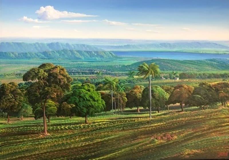 Jean-Adrien Seide 36"x50" Paysage et arbres Acrylique sur toile #J56-HA