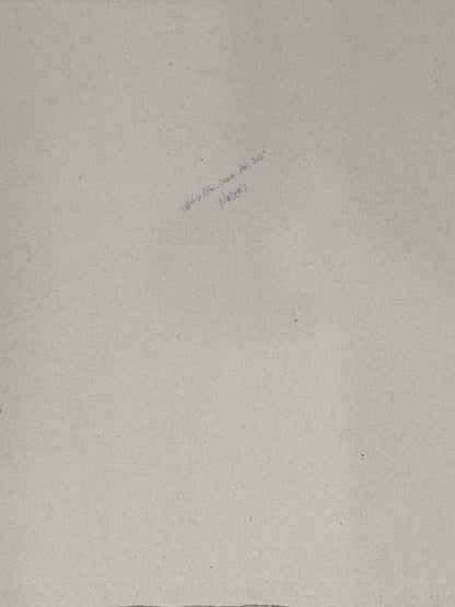 Albott Bonhomme 20"x16" The Watchful Wings 2025 Acrylic on Canvas Unframed Painting #64MFN