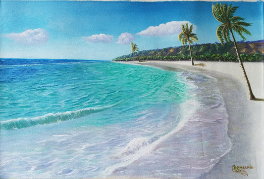 Demesmin Cabrini 16"x24" La playa de Tortuga Bay 2029 Acrílico sobre lienzo #1JN-HA