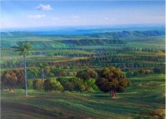 Jean-Adrien Seide 36"x50" Paisaje Acrílico sobre Lienzo #J62-HA