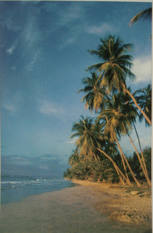 Postal haitiana: Atardecer en la playa cerca de Marigot (costa sur de Haití)