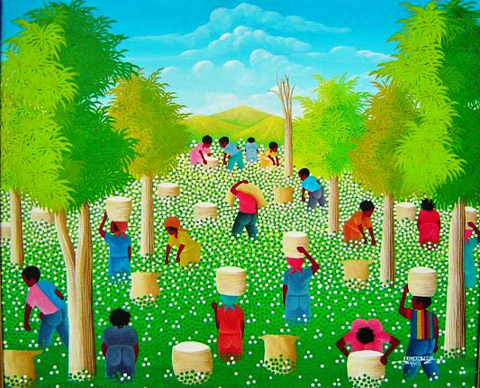 Edner Jean 20"x24" Algodón Cosecha Óleo sobre lienzo #1MFN